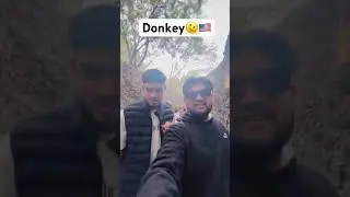 Ye kese hua 🇺🇸🇺🇸#america #donkey #viral