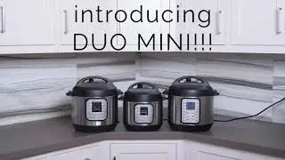 Instant Pot Duo Mini 3 Qt 7-in-1 Multi- Use Programmable Pressure Cooker, Slow Cooker, Rice Cooker