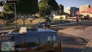 lspdfr teesting bld 3.5
