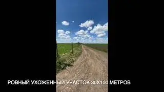 Участок ЛПХ 30 соток Ельниково