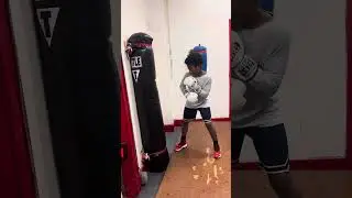 Wall Bag Work! Xavier Campbell #heavybag #heavybagworkout ##wallbag #heavybagtraining #boxing