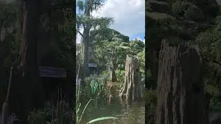 Down At The Bayou! #disneyworld #magickingdom #tianasbayouadventure