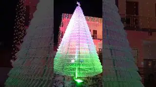Plastic Bottles Christmas 🎄Tree  #shorts
