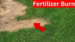 Correct Measurements To Avoid Fertilizer Burn