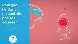 Pourquoi l'enfant ne contr&ocirc;le pas ses col&egrave;res ?