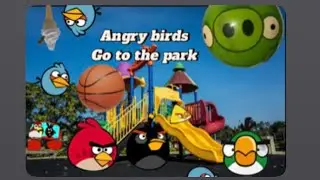 Angry birds go to the park
