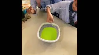 Non Newtonian Fluid experiment #shorts #experiment #newton #physics