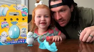 THE BABY CHICK IS HATCHING!! 🐣 Adley and Dad watch the little live pet hatch from its Egg!