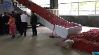 big capacity red chili drying machine