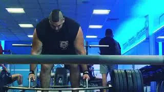 BIG BEAR POWER HEX BAR FUN