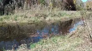 Video of Abundant Waters Camping, DE from Jadon B.