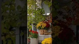 Small Porch Decorating For Every Season