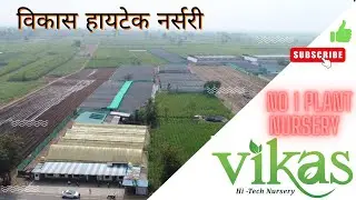 Высокотехнологичный питомник Vikas | Помощь фермерам в создании устойчивого сельского хозяйства | питомник растений ￼