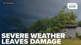 Severe thunderstorm brings down trees, power lines across Mid-Michigan