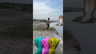 Hara harq#shambhu#snake aya video#bata#hara agar#snake aya aya