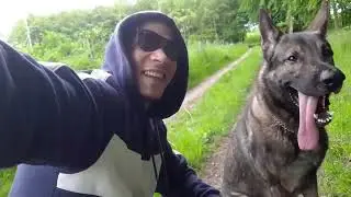 Hasahgi danish twitch streamer