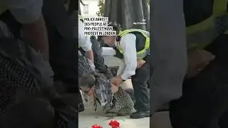 Police arrest 365 people at pro-Palestinian protest in London