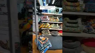IIPTF 2023 / Pet Exhibition #ytshorts #shorts #cover #doglover #trending #pets #dogbeds #dogmom