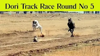 Dori Track Race Dadhocha | Round No 5 | 16-01-23 | SP Studio 216  Mob 0321-7733216