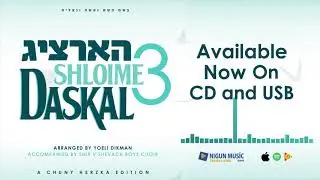 Shloime Daskal - Hartzig 3 - Album Preview | שלומי דאסקל - הארציג 3