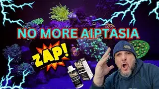 Попрощайтесь с аптазией с помощью этого трюка!