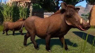 Planet Zoo - Common Warthog Gameplay (PC HD) [1080p60FPS]