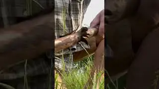 Fallkniven U2 Elmax, już wkr&oacute;tce 👍