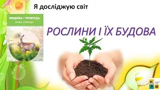 ЯДС  1 клас урок 44-46  РОСЛИНИ І ЇХ БУДОВА Жаркова
