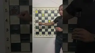 What Does Check and Checkmate Mean in Chess?