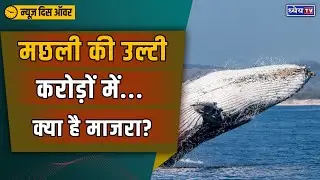`Floating gold` worth $500k found in dead whale in Canary Islands || Dhyeya IAS