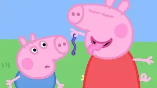 Kids Videos | Peppa Pig and the Wriggly Worm! Peppa Pig Official | New Peppa Pig