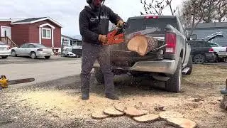Echo CS6700 Chainsaw in action #echo# #Echo# #cs6700# #chainsaw#
