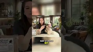 My Dog's Secret: Calming CBD Treats