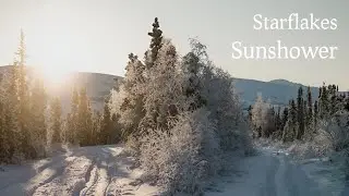 No AI Lofi - 