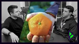 GMO's Invisible Consequences