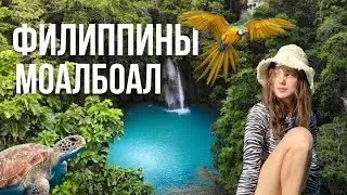 Филиппины 2025. Моалбоал. Каньонинг. Черепахи и сардины.
