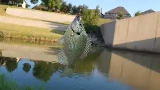 Part 1 Bream Fishing Spillways In Irving Texas