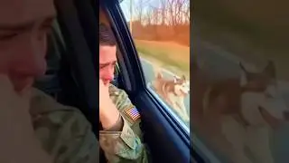 Most Emotional Reunions Moments of USA Soldiers🇺🇸🤣 #shorts #Reunion #dog #soldier #love #viral
