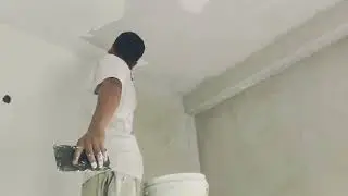 How to apply asian paints royale shyne  interior or Exterior Apex Ultima protect Basecoat or topcoat