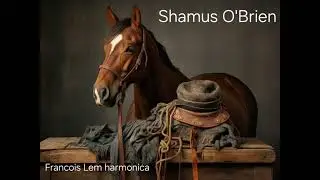 SHAMUS O' BRIEN       
