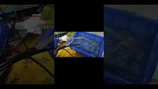 Prototype of Destop horizontal injection molding machine #horizontal #machine #injection #plastic