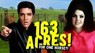 Elvis Bought Priscilla a 163-Acre Ranch Just Because She Wanted ONE Horse!