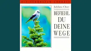 Der lieben Sonne Licht und Pracht