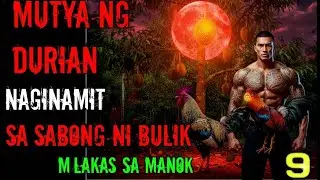 MUTYA NG DURIAN KUNTRA MGA BIGTIME DERBY SABONG TRUE STORY