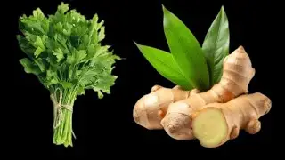 EXTREMER DETOX SMOOTHIE! 🔥 Reinigt den Körper, verbrennt Fett & stärkt das Immunsystem 