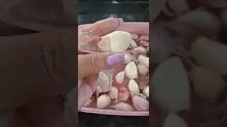 FA&Ccedil;A ISSO , Como Descascar Alho de Forma R&aacute;pida e F&aacute;cil Apenas deixando de Molho #Shortsviral