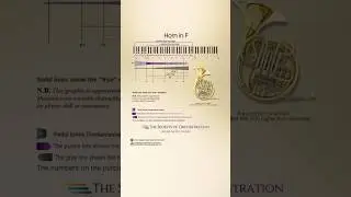 Horn in F &ndash; Range / Registers / Dynamics