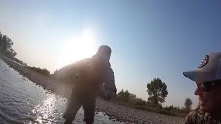 Brown of a Lifetime--Jefferson River--9-3-2017