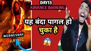 Animal Day 13 Advance Booking Collection |Animal Box office collection Day 13|Animal Movie |