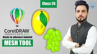 mesh tool in corel draw | Class # 26 | Free Training in Urdu/Hindi |mango design in coreldraw